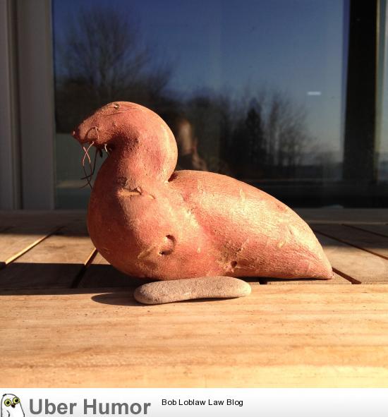 Sweet Potato looks like Harbor Seal | Funny Pictures, Quotes, Pics, Photos,  Images. Videos of Really Very Cute animals.