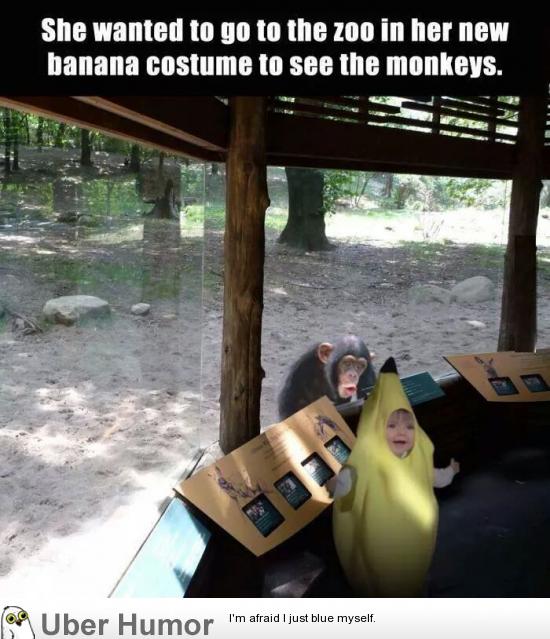 The monkey's expression is priceless | Funny Pictures, Quotes, Pics,  Photos, Images. Videos of Really Very Cute animals.