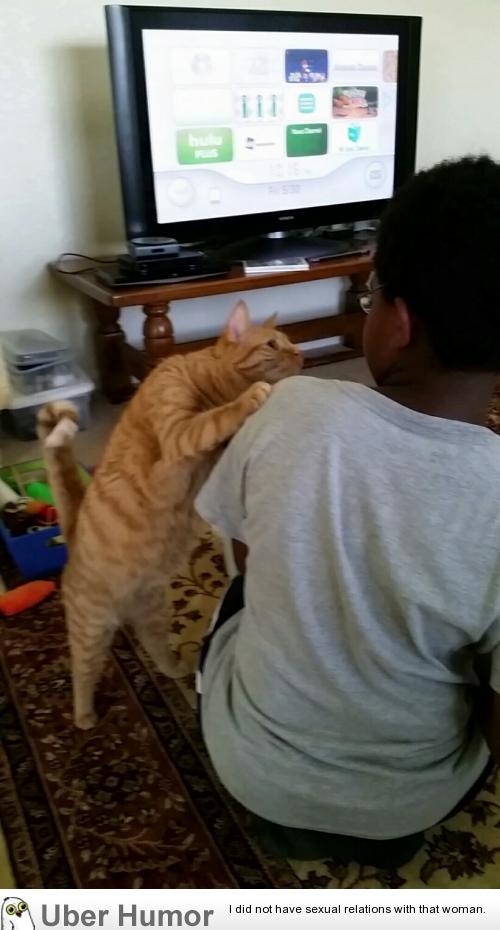 My cousins cat stares at his black friends like this for 5 minutes every time they come over. It’s strange and interesting. | uberHumor.com