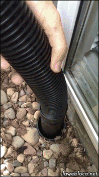 Man rescues baby duck from drain pipe