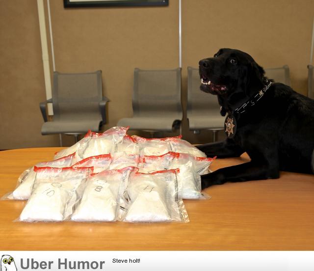 Police busted a meth lab using a meth lab | Funny Pictures, Quotes, Pics,  Photos, Images. Videos of Really Very Cute animals.