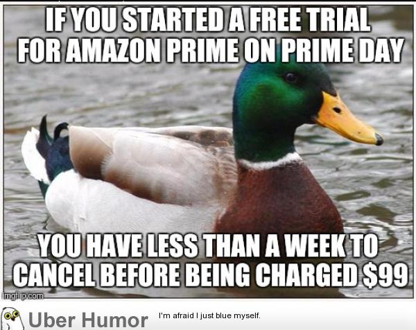 Reminder for everyone who fell for the Amazon Prime Day hype | Funny  Pictures, Quotes, Pics, Photos, Images. Videos of Really Very Cute animals.
