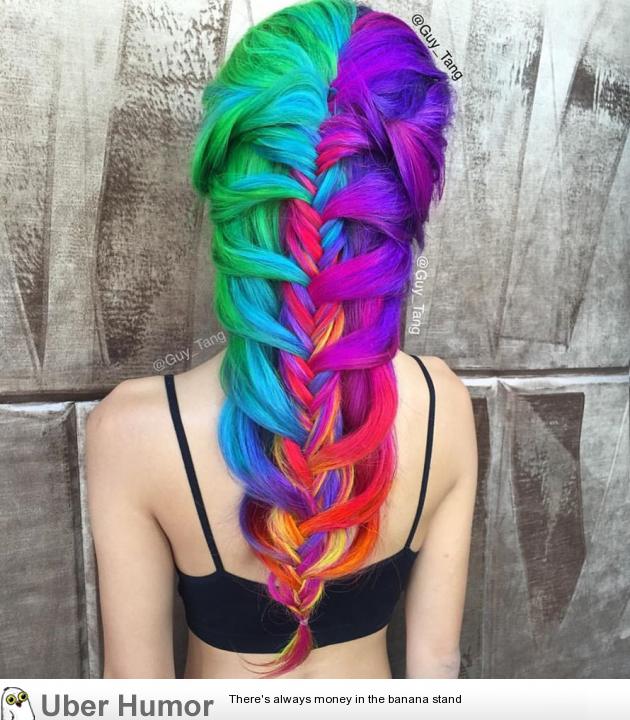 Rainbow braid | Funny Pictures, Quotes, Pics, Photos, Images. Videos of  Really Very Cute animals.