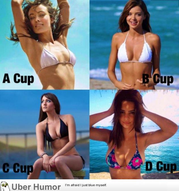 Cup sizes with examples. 