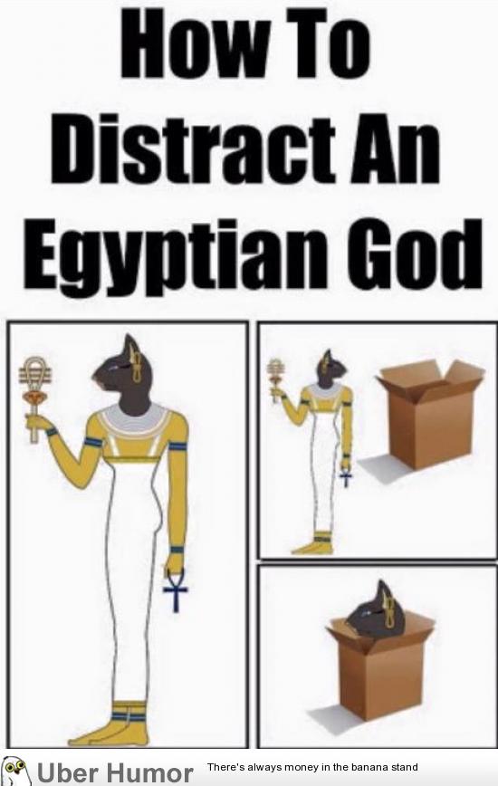How to distract an Egyptian Goddess | Funny Pictures, Quotes, Pics ...