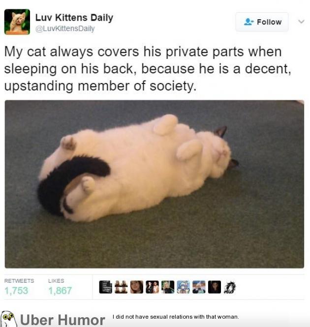 Not All Cats Are Assholes Funny Pictures Quotes Pics Photos 
