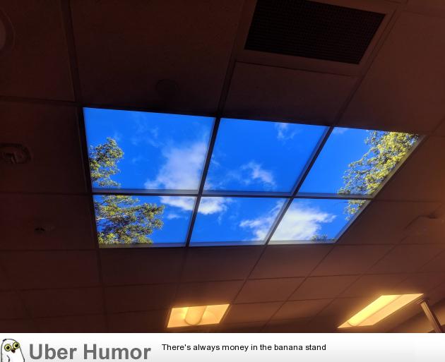 This fake skylight in the surgery waiting room | Funny Pictures, Quotes ...
