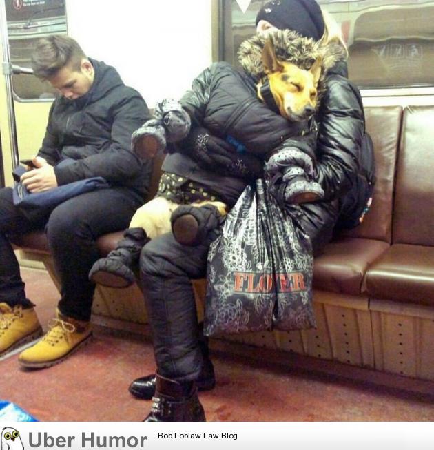A Normal Day In Russia Funny Pictures Quotes Pics Photos Images