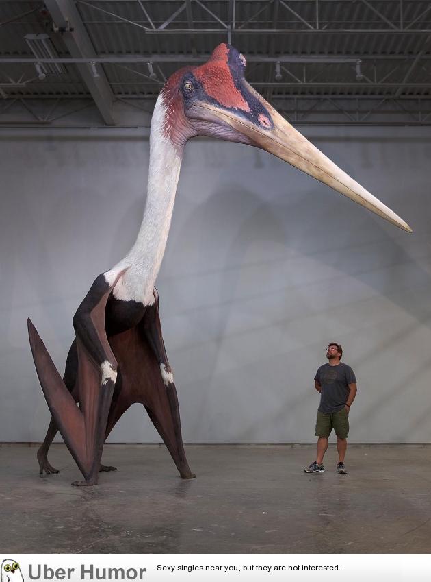 Quetzalcoatlus northropi model next to a 6ft man. The largest known flying  animal ever exist. | Funny Pictures, Quotes, Pics, Photos, Images. Videos  of Really Very Cute animals.