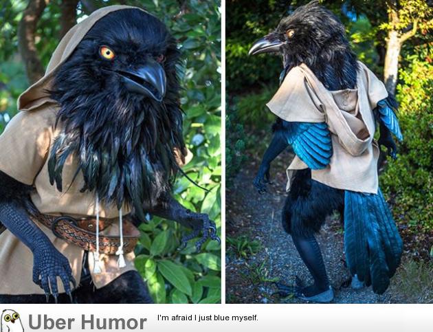 This unbelievable crow costume | Funny Pictures, Quotes, Pics, Photos,  Images. Videos of Really Very Cute animals.