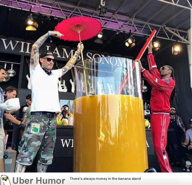 Snoop Dogg broke the Guinness World Record for largest gin and juice | Funny  Pictures, Quotes, Pics, Photos, Images. Videos of Really Very Cute animals.