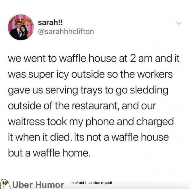 It's a waffle home | Funny Pictures, Quotes, Pics, Photos, Images. Videos  of Really Very Cute animals.
