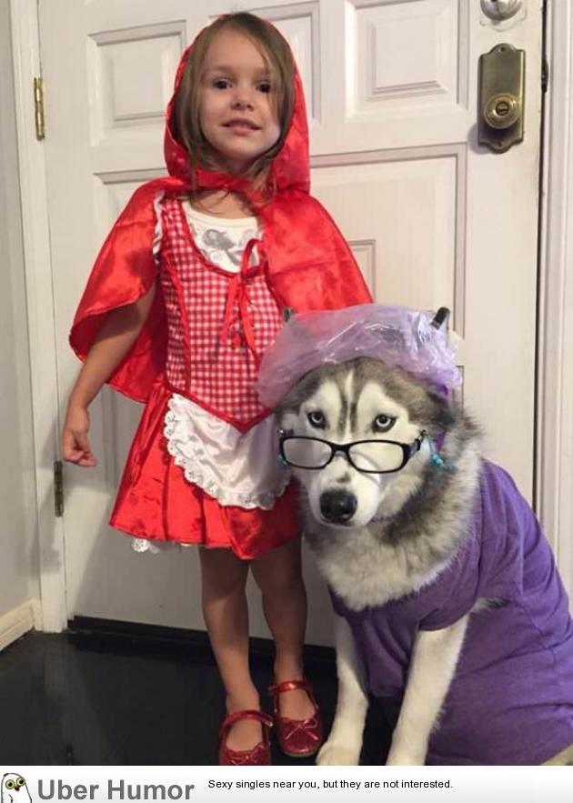 Little Red Riding Hood and Grandma Wolf | Funny Pictures, Quotes, Pics,  Photos, Images. Videos of Really Very Cute animals.