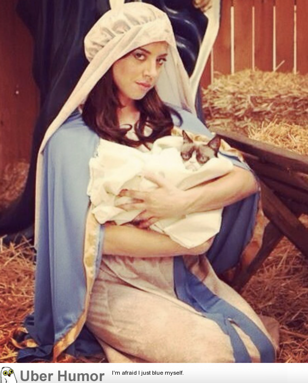 Aubrey Plaza holding Grumpy Cat | Funny Pictures, Quotes, Pics, Photos,  Images. Videos of Really Very Cute animals.