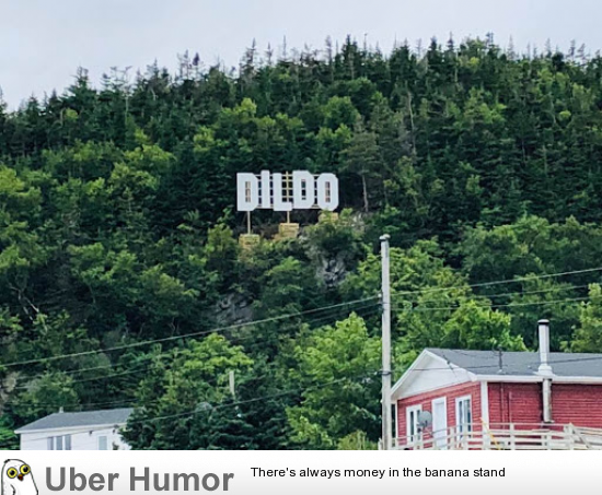 Jimmy Kimmel Paid For This Sign In Dildo Nl Funny Pictures Quotes