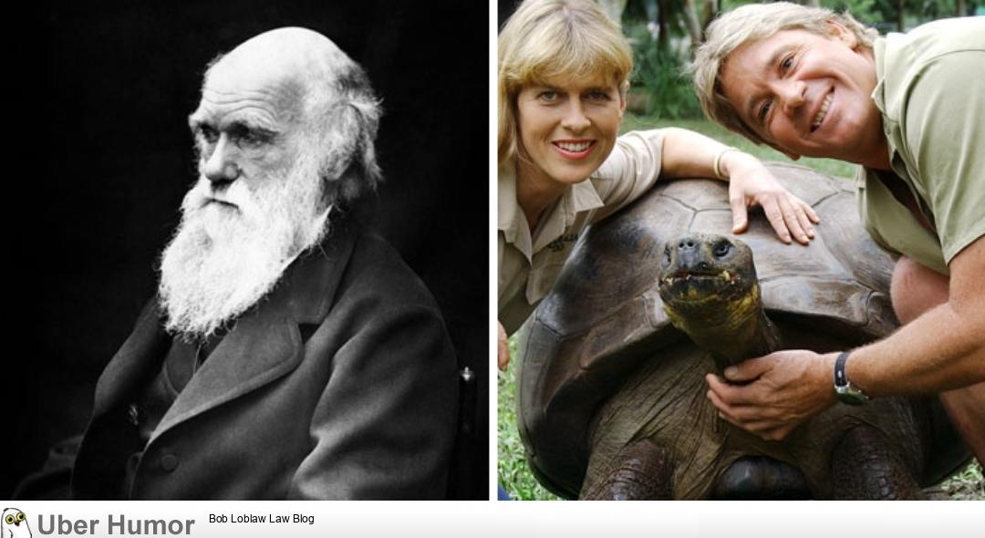 Harriet The Tortoise, Who Died In 2006, Had Seen Charles Darwin In Person |  Funny Pictures, Quotes, Pics, Photos, Images. Videos of Really Very Cute  animals.
