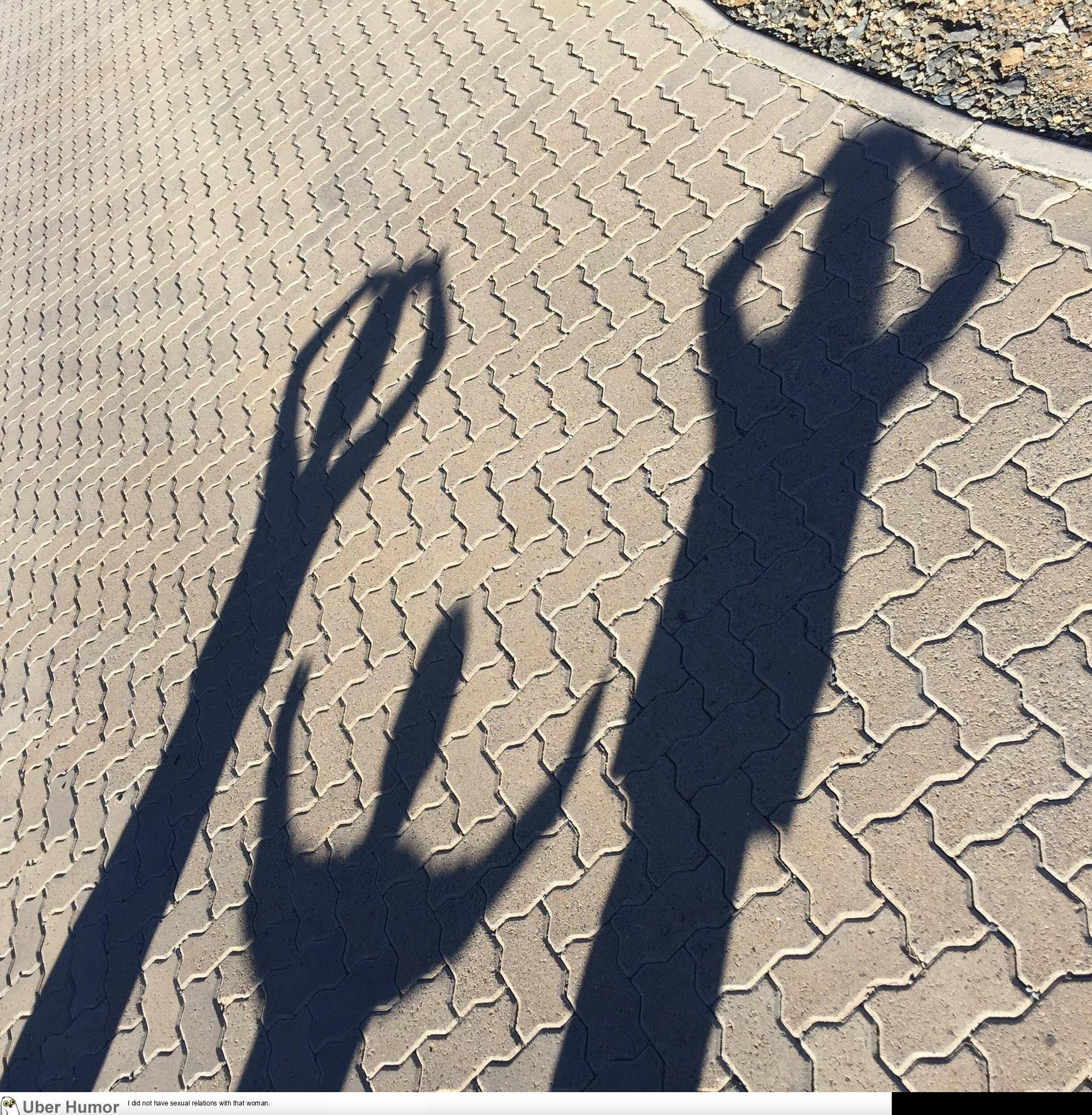 The kids made a cat face with their shadows. | Funny Pictures, Quotes,  Pics, Photos, Images. Videos of Really Very Cute animals.