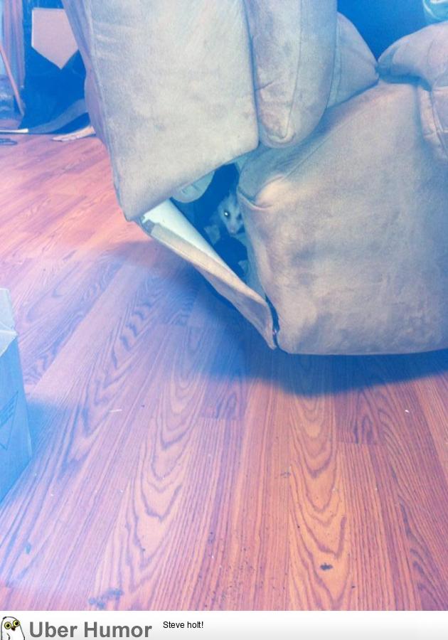 There was a possum in my recliner | Funny Pictures, Quotes, Pics ...
