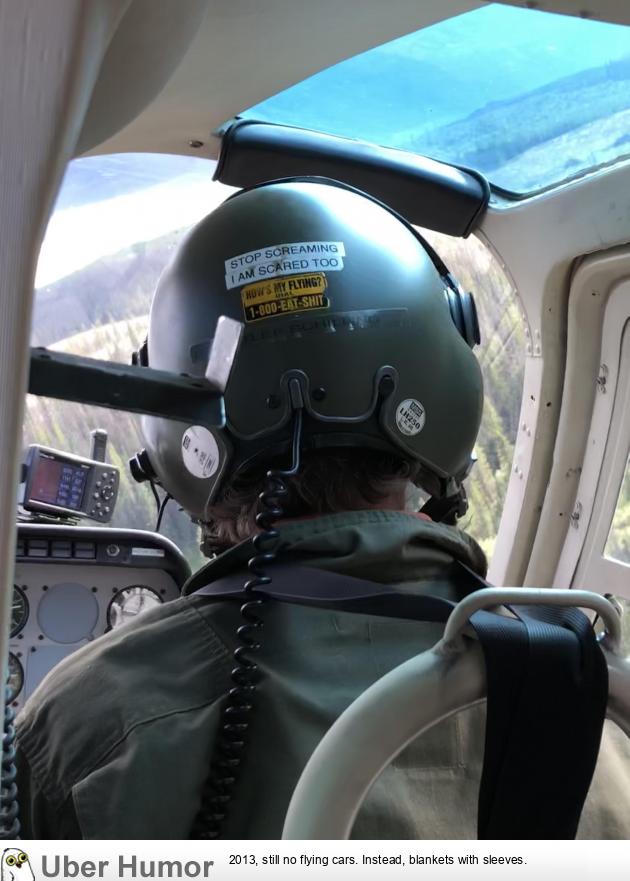 Flew in a helicopter for the first time at work, the pilot's helmet wasn't  calming | Funny Pictures, Quotes, Pics, Photos, Images. Videos of Really  Very Cute animals.