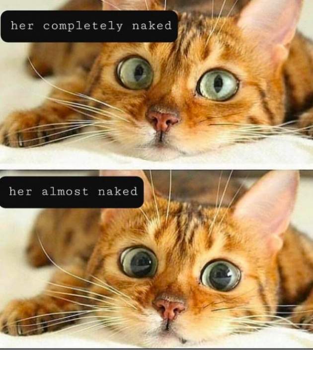 Sex memes are the best memes (36 Pictures) | Funny ...