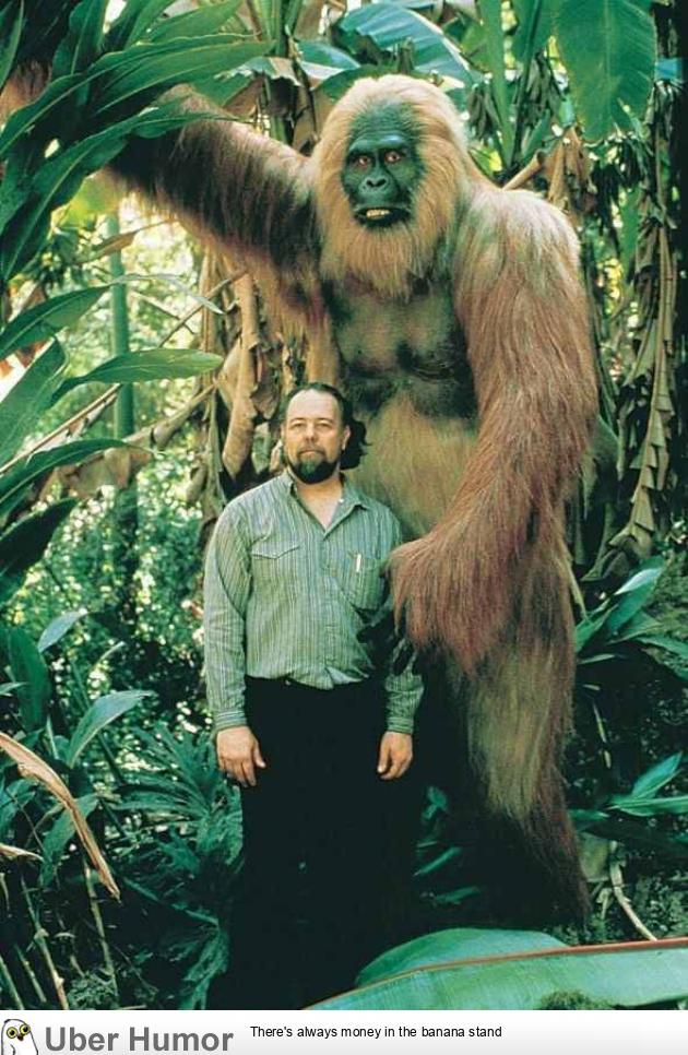 This is an extinct species of giant ape. There's a reason we here about  bigfoot stories. | Funny Pictures, Quotes, Pics, Photos, Images. Videos of  Really Very Cute animals.