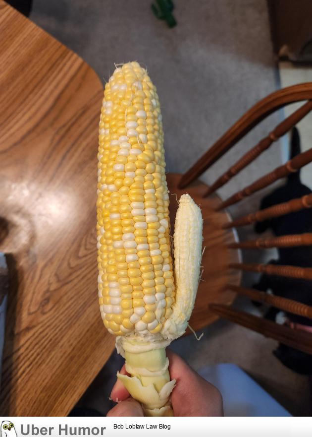 this corn came with a baby corn attached | Funny Pictures, Quotes, Pics,  Photos, Images. Videos of Really Very Cute animals.