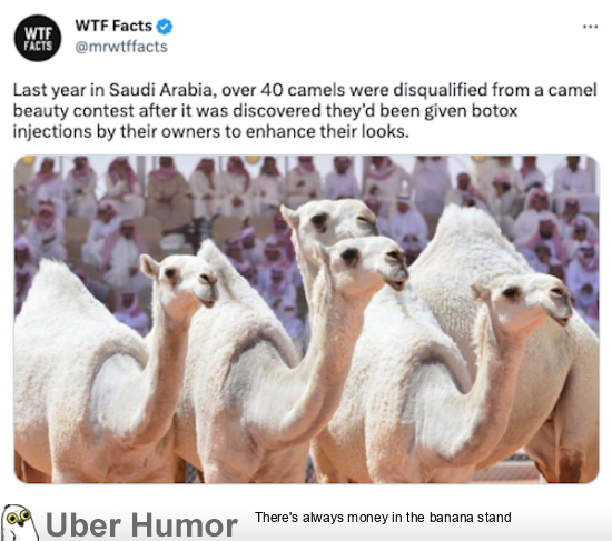 wtf-facts-9.png