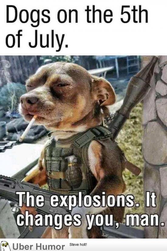 dog-dogs-on-5th-july-explosions-changes-man.jpg